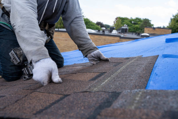 Best Storm Damage Roof Repair  in Belleville, PA